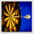 Picture of a dart board and arrow.